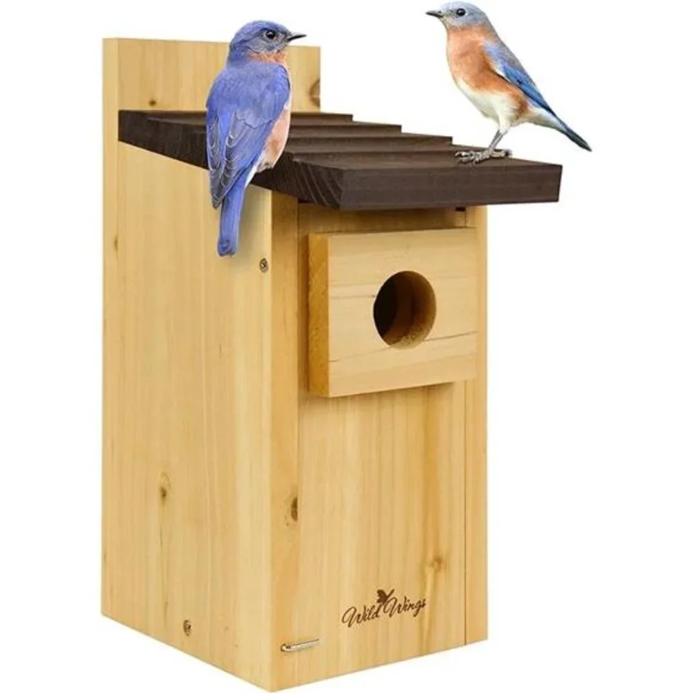 Cedar Blue Bird Box House